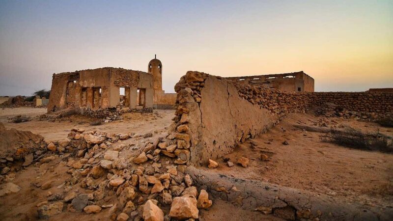 From Doha: Day Trip to North And West Qatar With Pickup - Key Points