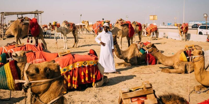 From Doha: Desert Safari Tour with Activities in Mesaieed - Discovering Qatar’s Desert: A Review of the Mesaieed Safari Tour