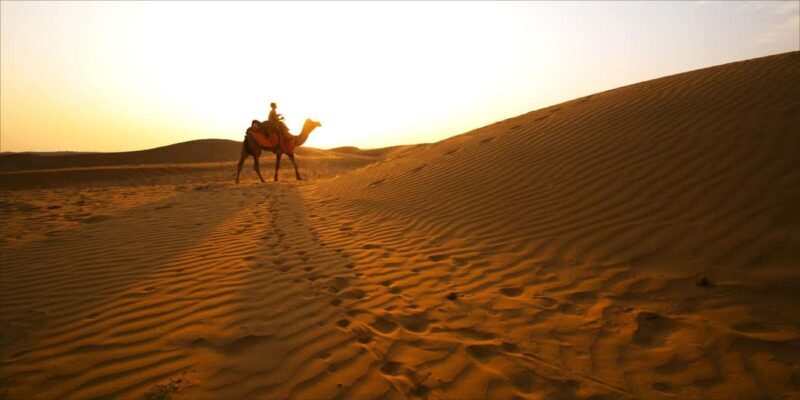 From Doha: Full-Day Desert Safari - The Itinerary: What to Expect from Start to Finish