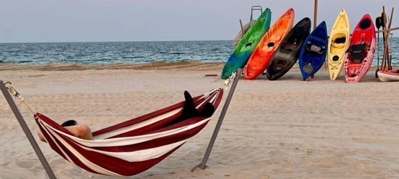 From Doha: Full-Day Desert Safari - Who Will Love This Tour?