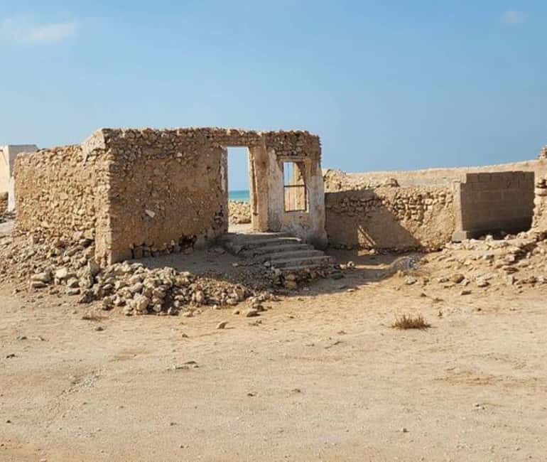 From Doha: Northern Qatar Guided Tour - Key Points  