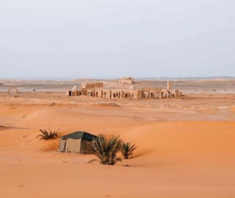 From Doha: Northern Qatar Guided Tour - Authenticity & Insider Insights from Reviews  