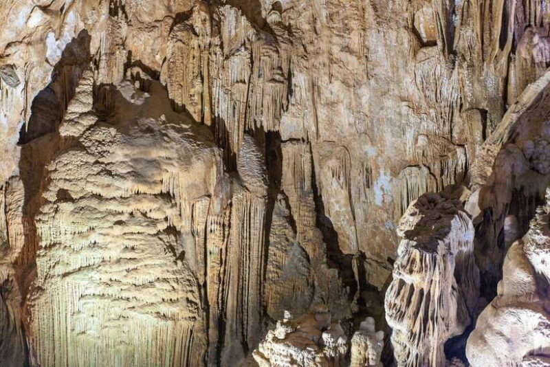 From Dong Hoi : Paradise and Phong Nha Caves Day Trip - Key Points