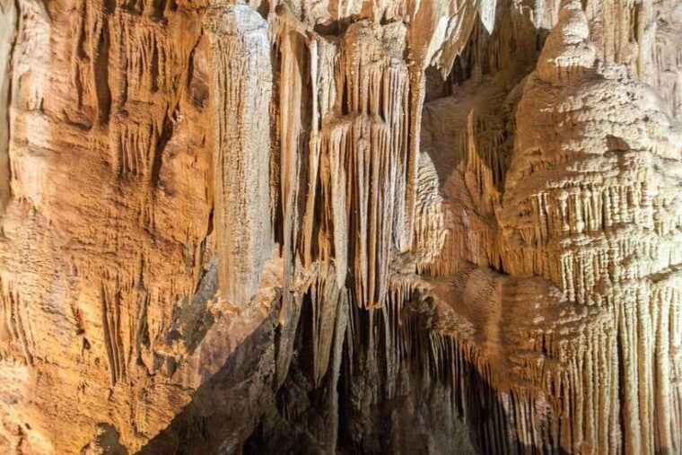 from-dong-hoi-paradise-and-phong-nha-caves-day-trip