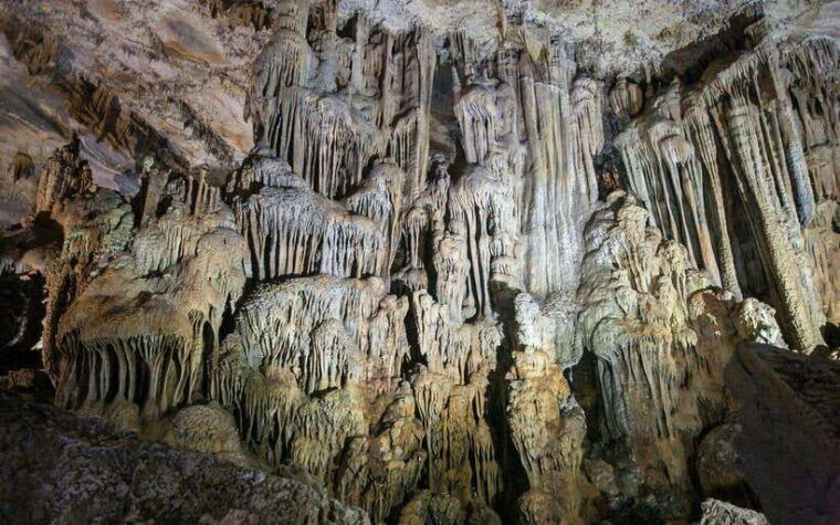 from-dong-hoi-paradise-and-phong-nha-caves-guided-tour