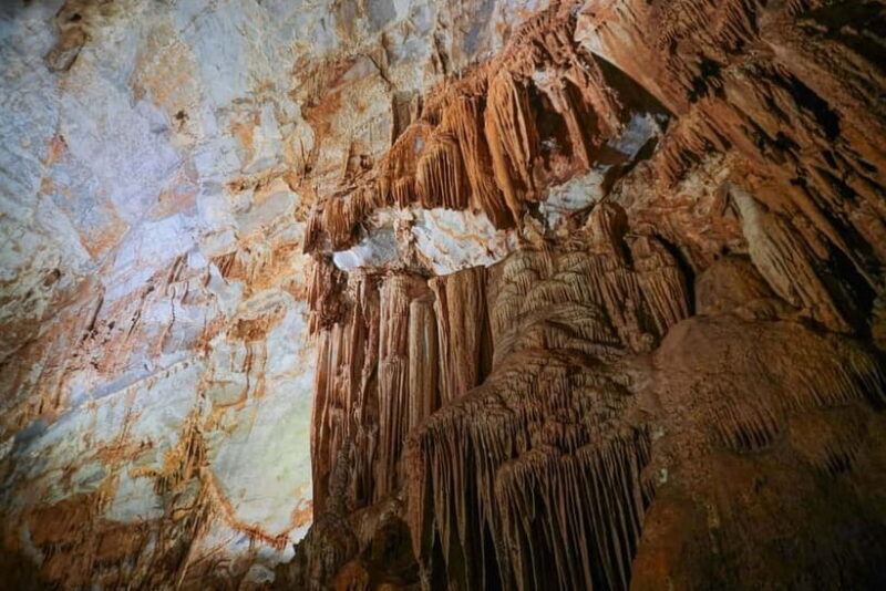 From Dong Hoi: Paradise Cave and Phong Nha Cave Day Trip - A Closer Look at the Itinerary