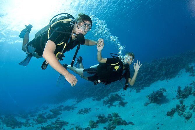 From Dubai: Discovery Scuba Diving & Snorkeling trip in Fujairah - What the Experience Offers