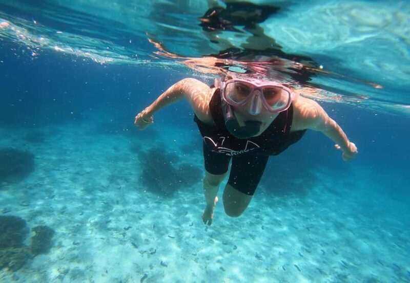 From Dubai: Fujairah Sea Turtles Snorkeling Tour with Lunch - The Value of This Experience