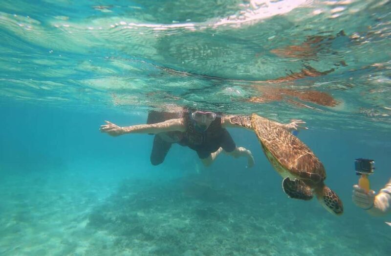 From Dubai: Fujairah Sea Turtles Snorkeling Tour with Lunch - Who Is This Tour Best Suited For?