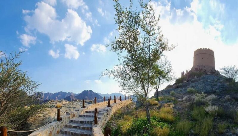 From Dubai: Hatta Sightseeing Tour with kayaking - The Itinerary Breakdown: What You Can Expect