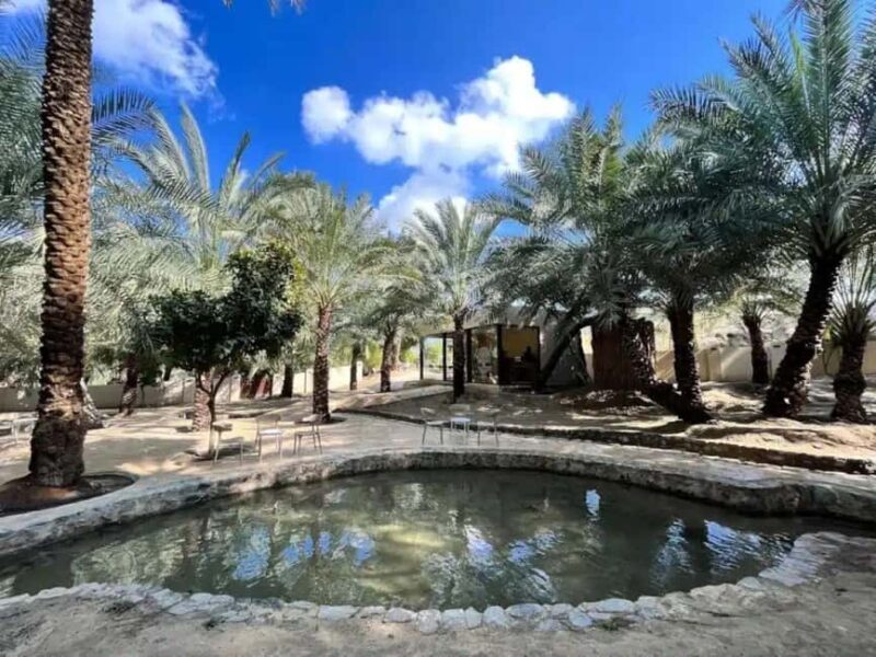 From Dubai: Hatta Sightseeing Tour with kayaking - What Makes This Tour Stand Out
