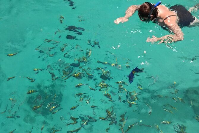 From Dubai to Norway of Arabia | KHASAB | Telegraph Island | OMAN - Exploring the Itinerary: What to Expect and Why It Matters