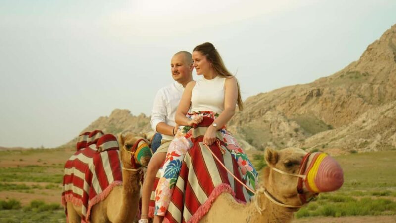 From Dubai: Zerzura Dune Buggy Experience & Fossil Discovery - The Sum Up