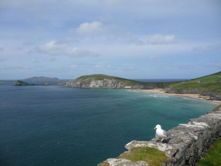 from-dublin-5-day-tour-to-the-southwest-with-accommodation