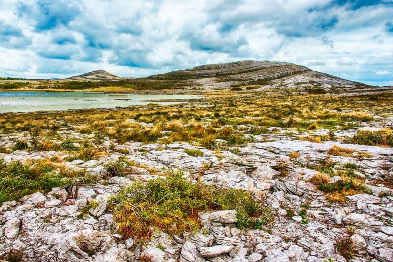 from-dublin-cliffs-of-moher-burren-galway-city-day-tour