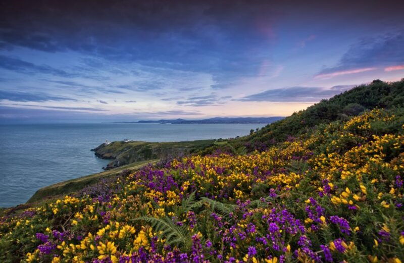 from-dublin-half-day-guided-coastal-tour-to-howth-village