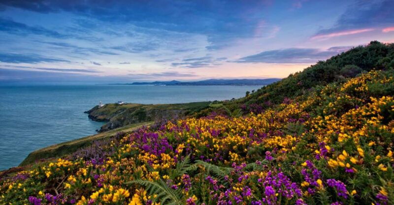 from-dublin-half-day-guided-coastal-tour-to-howth-village