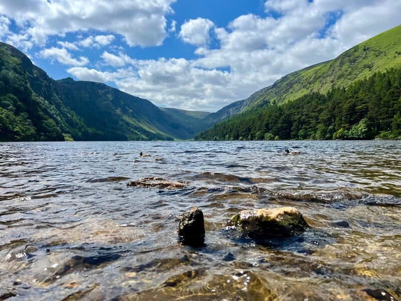 From Dublin: Wicklow, Glendalough, Waterfall & Sheepdog Demo - Who is This Tour Best Suited For?