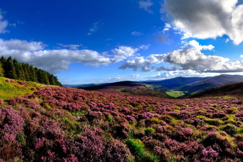 from-dublin-wicklow-mountains-glendalough-kilkenny-tour-2