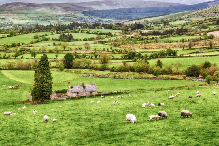 from-dublin-wicklow-mountains-glendalough-kilkenny-tour