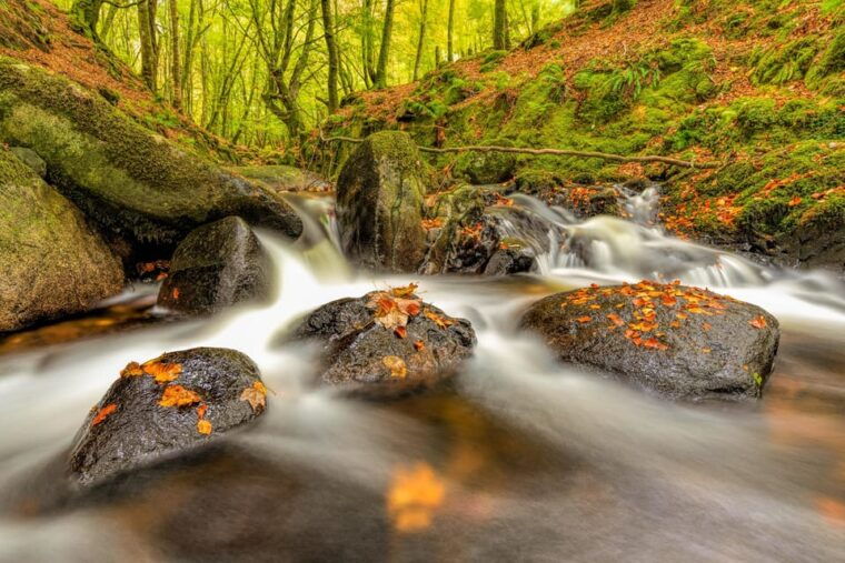 from-dublin-wild-wicklow-mountains-and-glendalough-tour