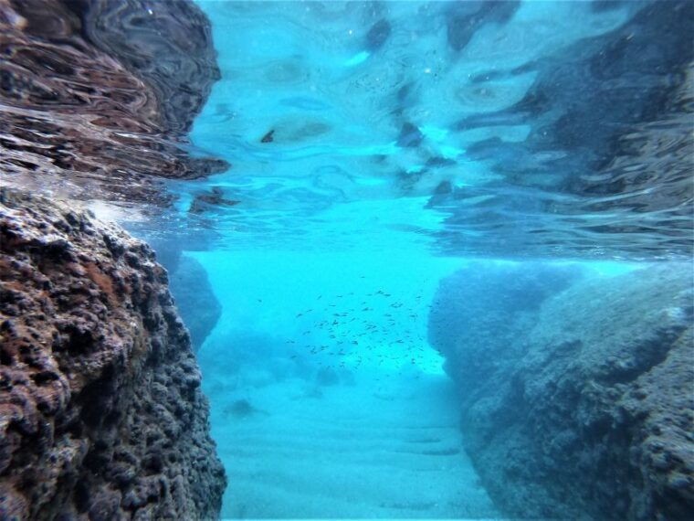 from-dubrovnik-full-day-elafiti-islands-private-experience