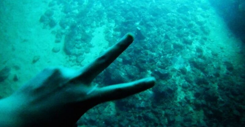 from-dubrovnik-full-day-private-boat-tour-of-elafiti-island