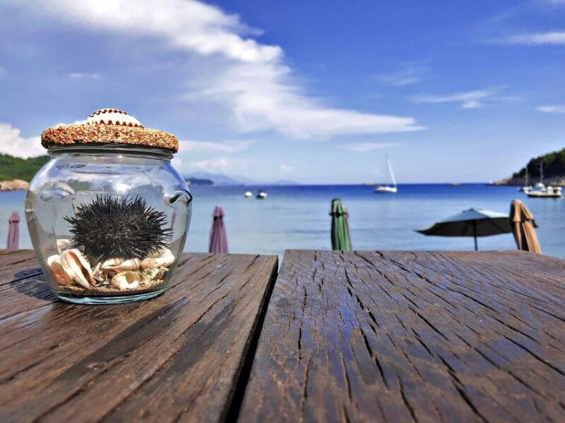 from-dubrovnik-full-day-private-boat-tour-of-elafiti-island