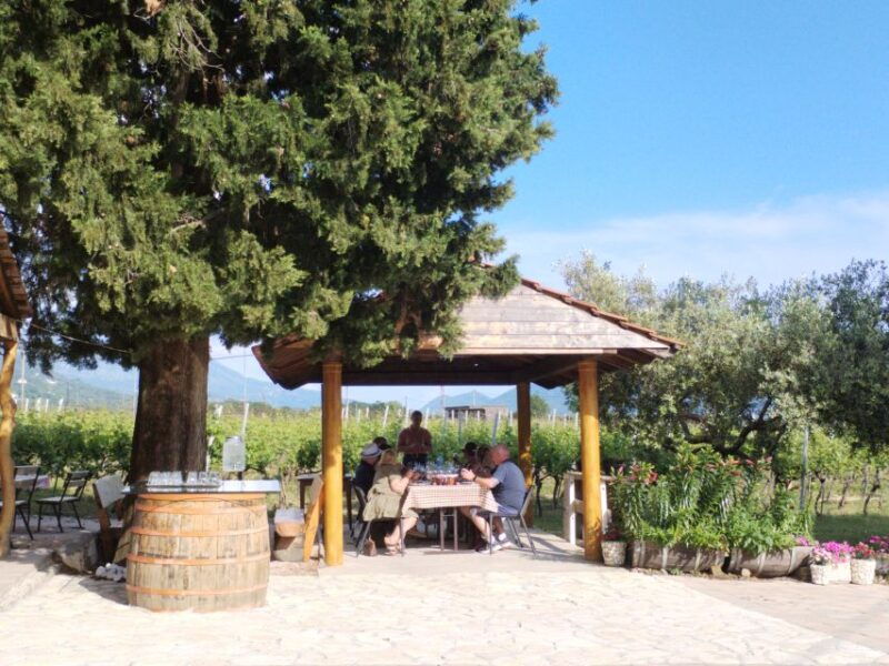 from-dubrovnik-half-day-wine-tasting-and-cavtat-city-tour
