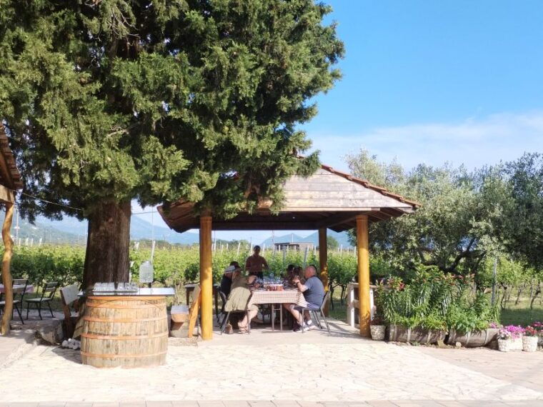 from-dubrovnik-half-day-wine-tasting-and-cavtat-city-tour