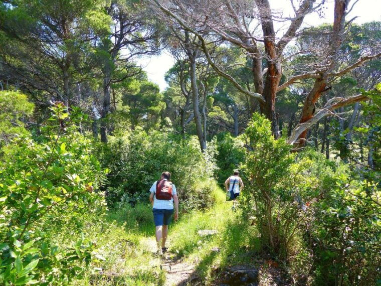 from-dubrovnik-hiking-swimming-on-kolocep-island-day-trip