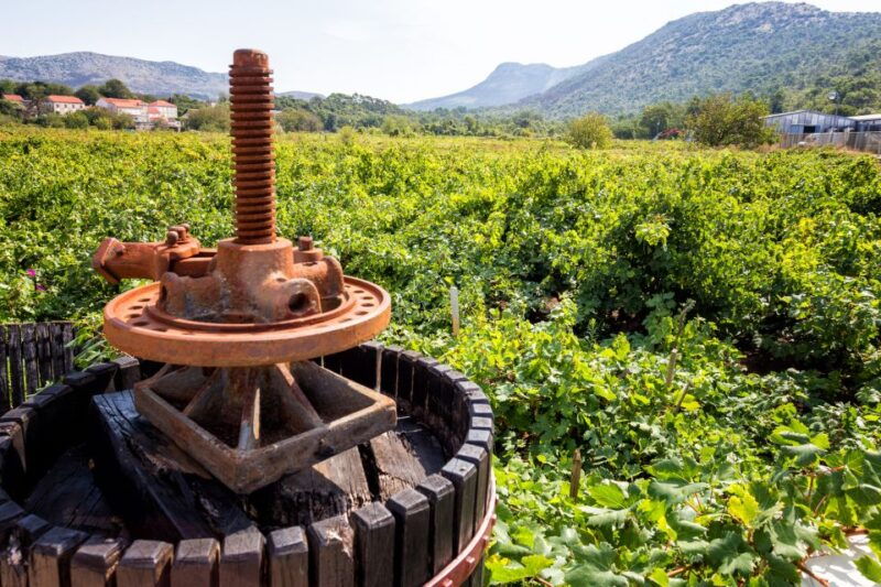 from-dubrovnik-island-of-korcula-with-wine-tasting