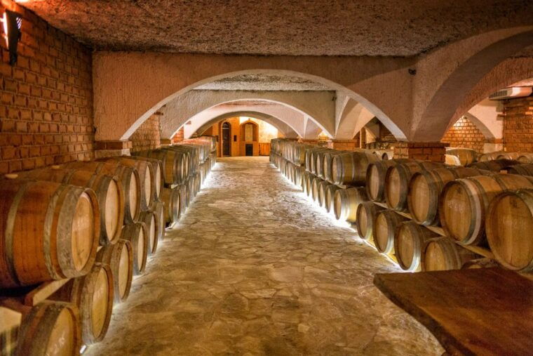 from-dubrovnik-island-of-korcula-with-wine-tasting