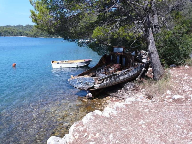From Dubrovnik: Mljet Island Guided Catamaran Day Tour - Why This Tour Stands Out