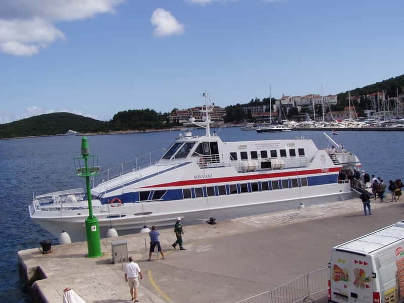 From Dubrovnik: Mljet Island Guided Catamaran Day Tour - Who Will Love This Tour