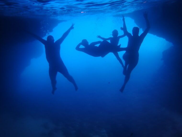 from-dubrovnik-mljet-national-park-elaphiti-islands-trip