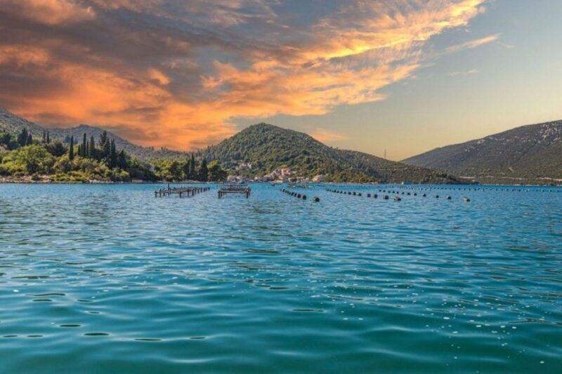from-dubrovnik-oyster-and-wine-tasting-tour-in-ston-bay