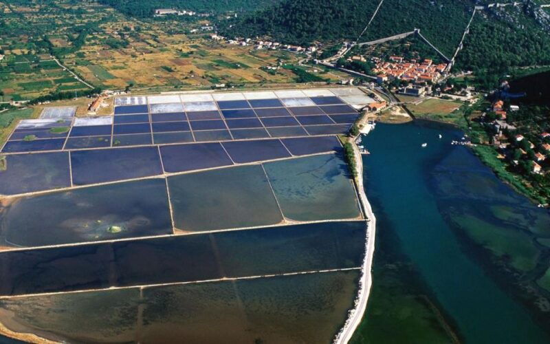 from-dubrovnik-oyster-and-wine-tasting-tour-in-ston-bay