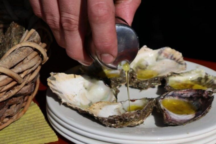 from-dubrovnik-oyster-and-wine-tasting-tour-in-ston-bay