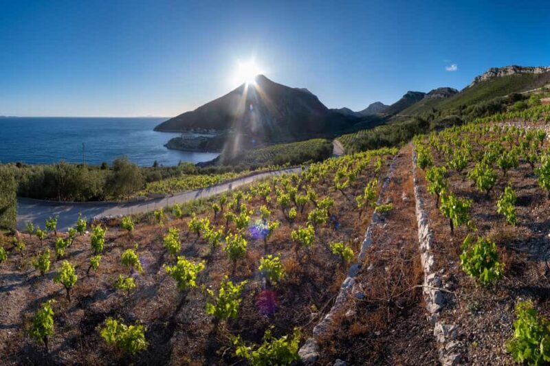 From Dubrovnik: Private Peljeac Wine Region and Ston Tour - Discovering the Peljeac Peninsula: A Scenic Start
