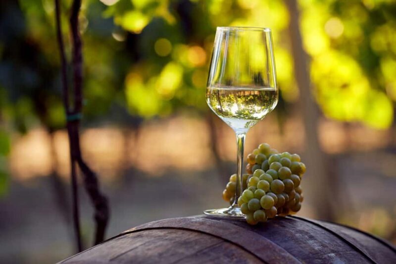From Dubrovnik: Private Peljeac Wine Region and Ston Tour - FAQ