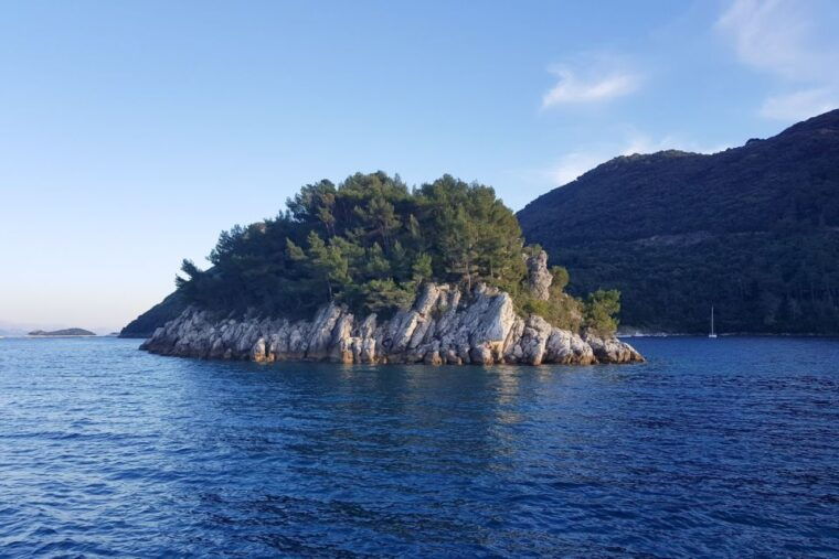 from-dubrovnik-pvt-speedboat-cruise-to-mljetsipanska-luka