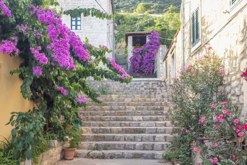 From Dubrovnik: Ston Town, Peljesac & Saltworks Private Tour - An In-Depth Look at the Experience
