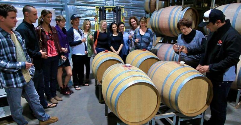 From Dunsborough/Busselton: Margaret River Wine Adventure - The Itinerary Breakdown