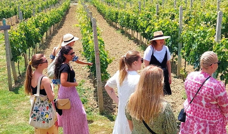From Durres: Countryside Vineyards Wine & Food Tasting Tour - Is This Tour Worth the Price?