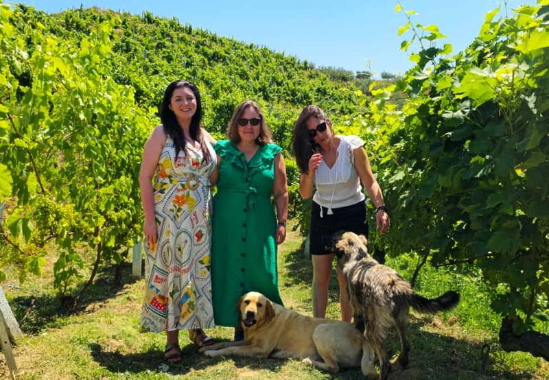 From Durrës/Golem: Vineyard Boat Tour, Wine & Food Tasting - What’s Included and What You Should Consider