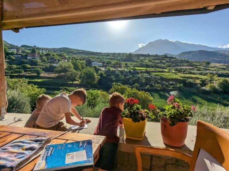 From Durrës: Wine Tasting at Alpeta Winery in Berat - Key Points  