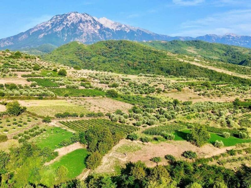 From Durrës: Wine Tasting at Alpeta Winery in Berat - Exploring Berat: The UNESCO Jewel