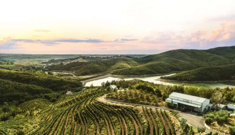 From Durres: Wine Tasting in Duka Winery - Key Points