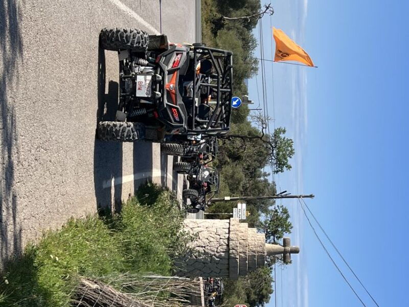 from-east-mallorca-guided-beach-and-mountain-buggy-tour
